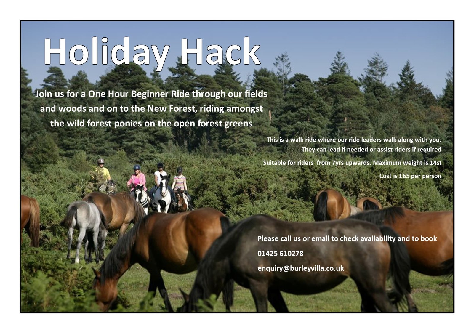 Holiday Hack